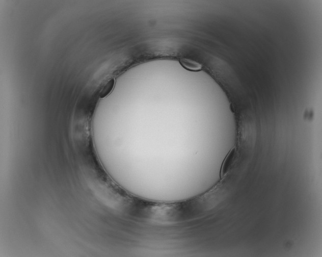 X0000113170172200909251426
