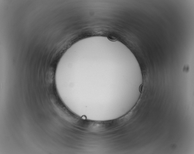 X0000113170174200909251426