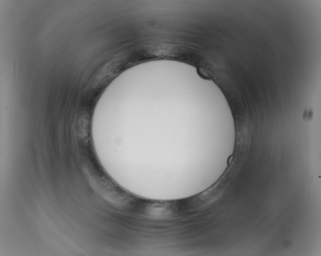 X0000113170175200909251426