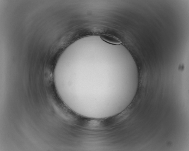 X0000113170176200909251426