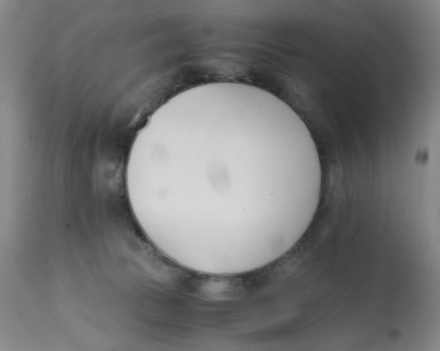 X0000113170177200909251426