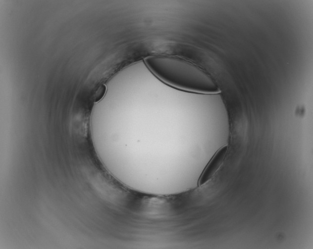 X0000113170180200909251426