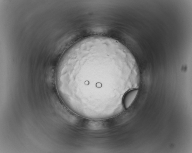 X0000113170181200909251426