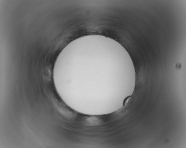 X0000113170183200909251426