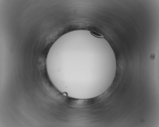 X0000113170184200909251426