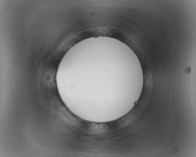 X0000113170185200909251426