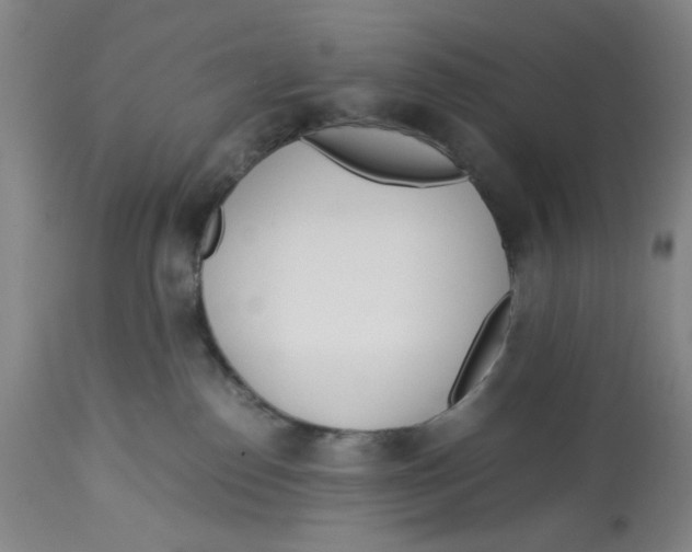 X0000113170186200909251426