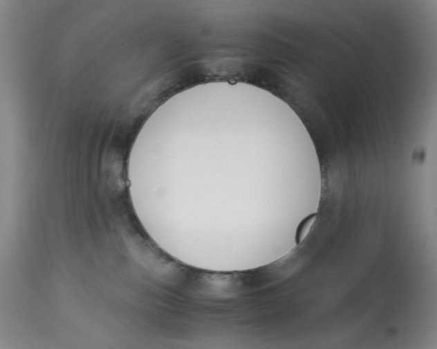 X0000113170187200909251426