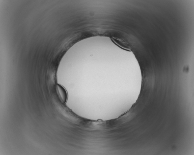 X0000113170188200909251426