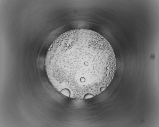 X0000113170189200909251426