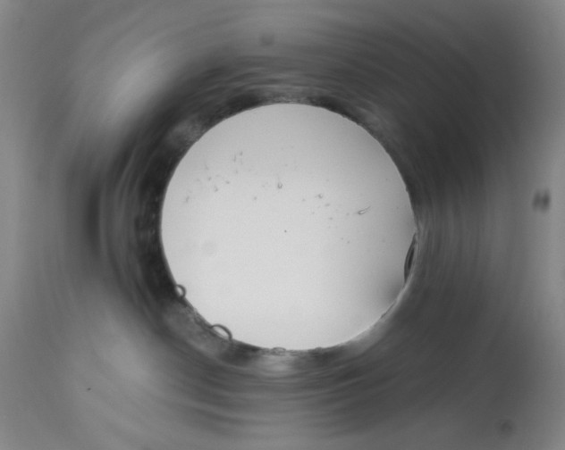 X0000113170190200909251426