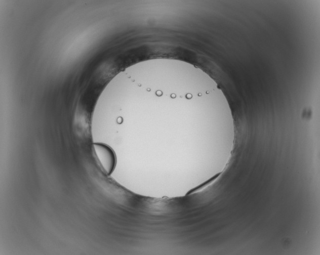 X0000113170191200909251426