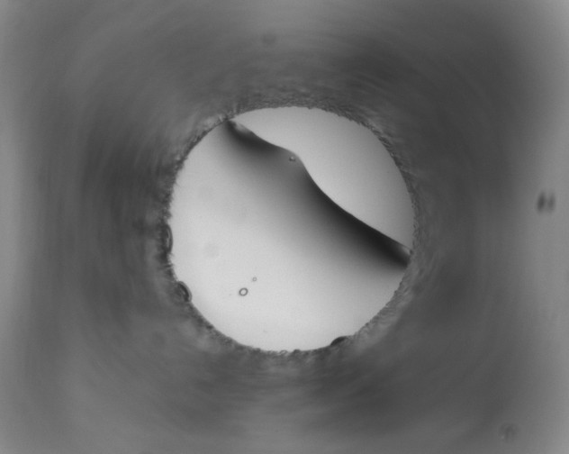 X0000113170192200909251426