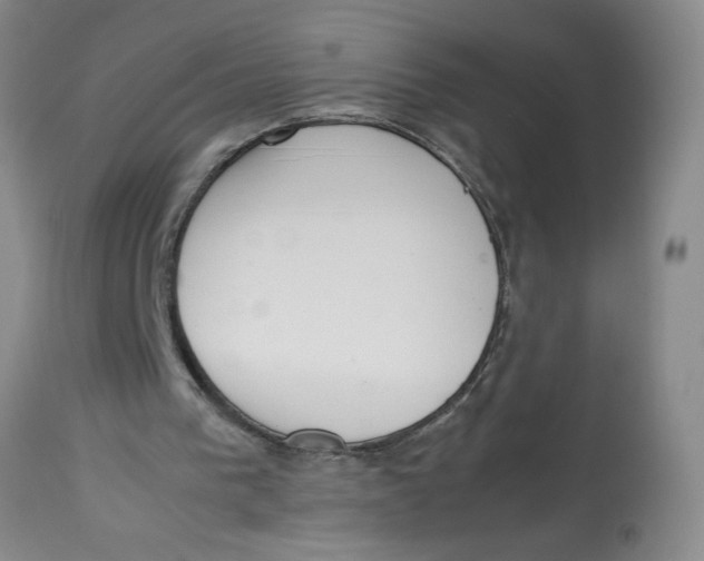 X0000113170193200909251426