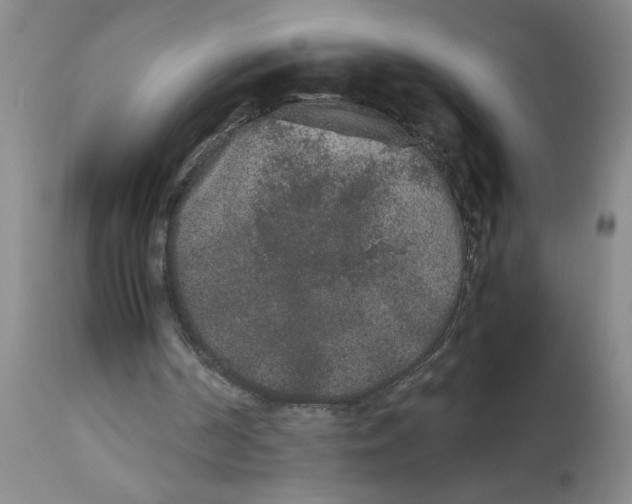 X0000113170194200909251426