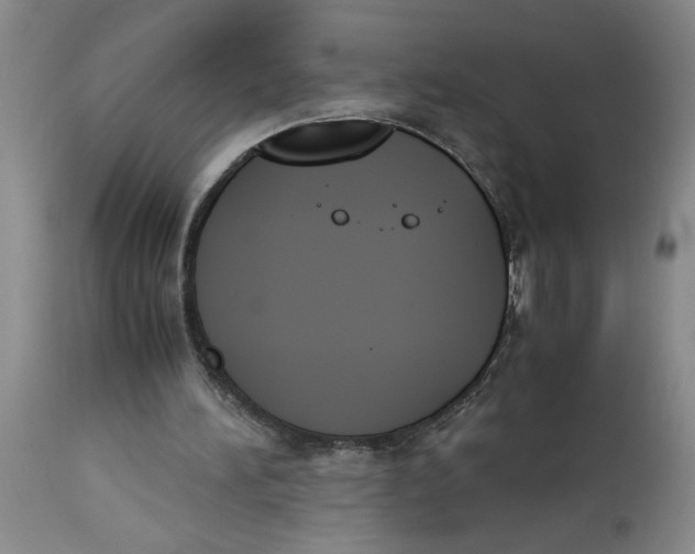 X0000113170196200909251426