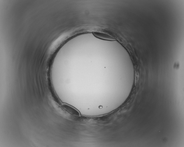 X0000113170197200909251426