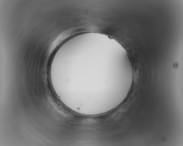 X0000113170198200909251426