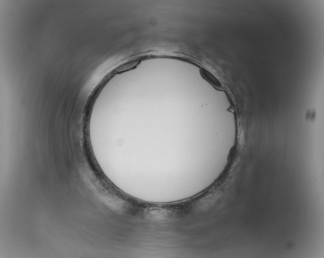X0000113170199200909251426