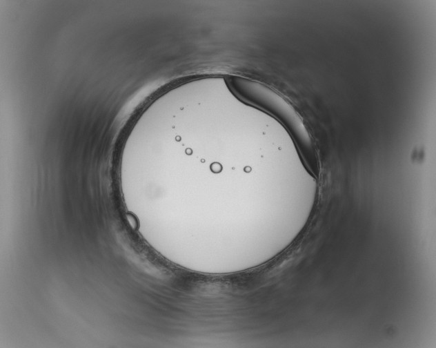 X0000113170200200909251426