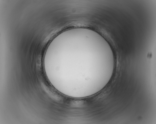 X0000113170202200909251426