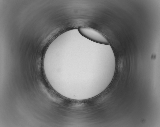 X0000113170206200909251425