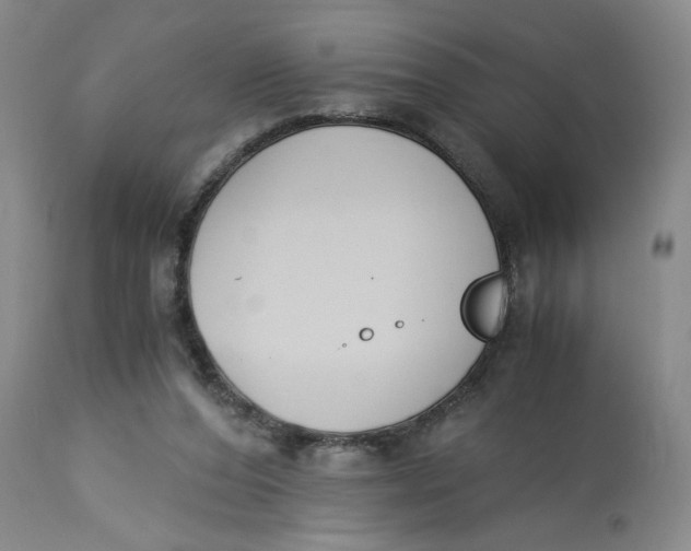 X0000113170208200909251425