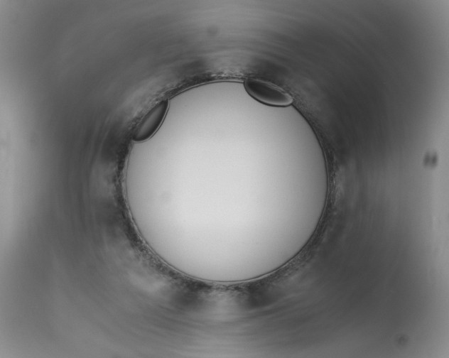 X0000113170209200909251425