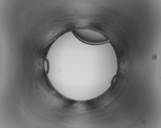 X0000113170211200909251425