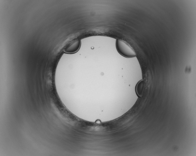 X0000113170212200909251425