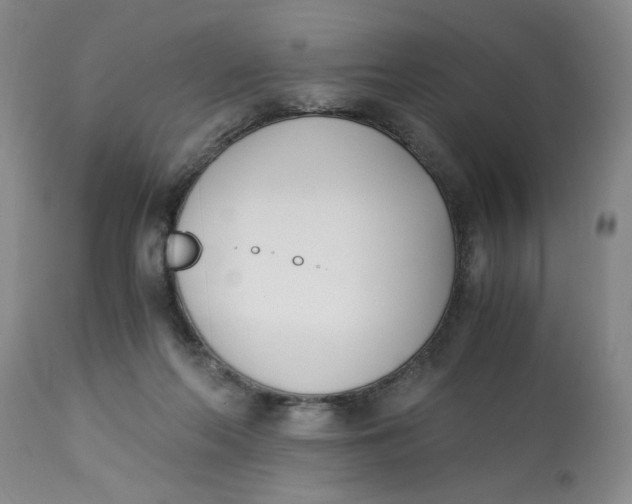 X0000113170214200909251425