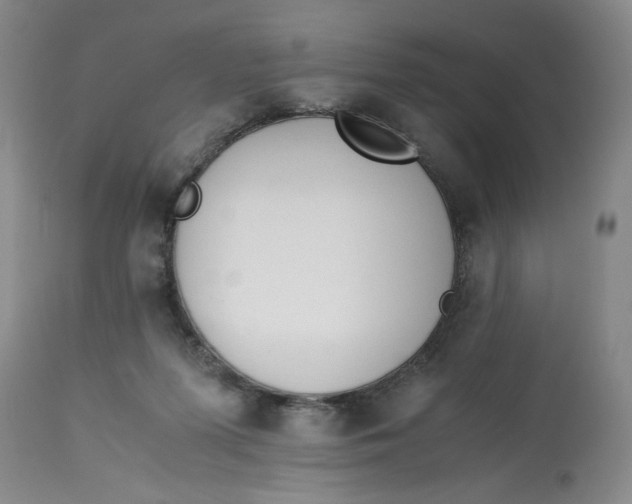 X0000113170215200909251425