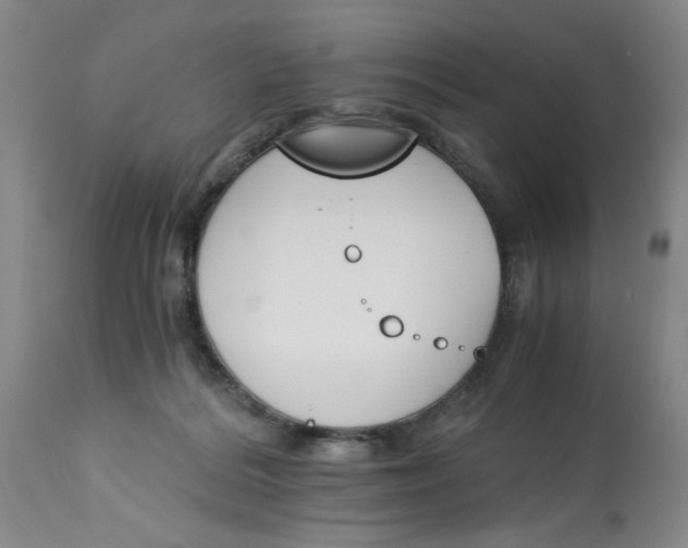 X0000113170220200909251425