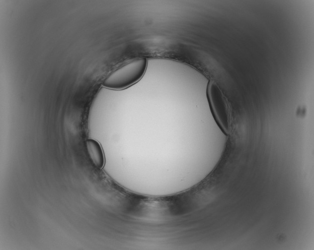 X0000113170221200909251425