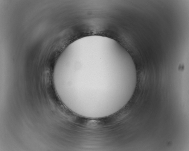 X0000113170222200909251425