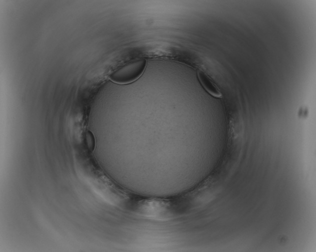 X0000113170223200909251425