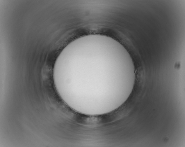 X0000113170225200909251425