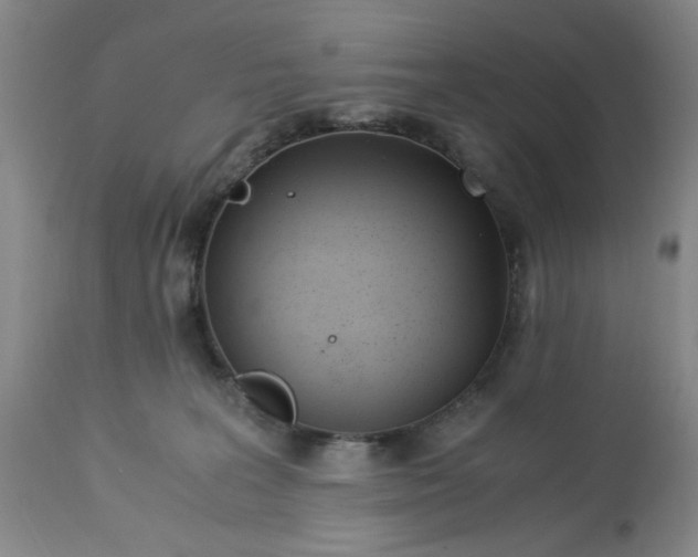 X0000113170227200909251425