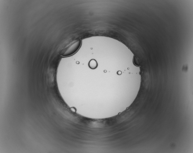 X0000113170232200909251425