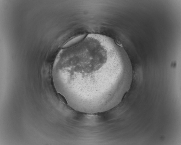 X0000113170233200909251425