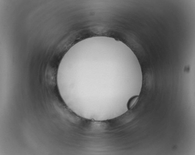 X0000113170234200909251425