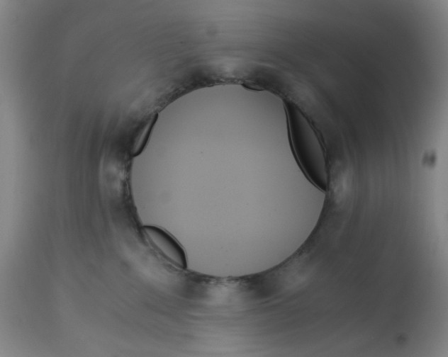 X0000113170235200909251425