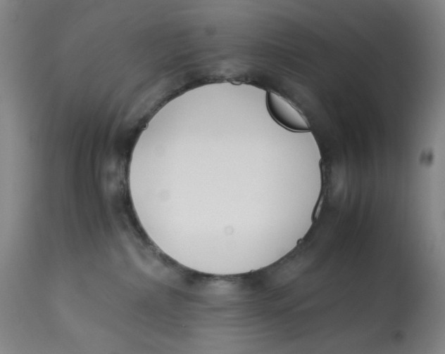 X0000113170236200909251425