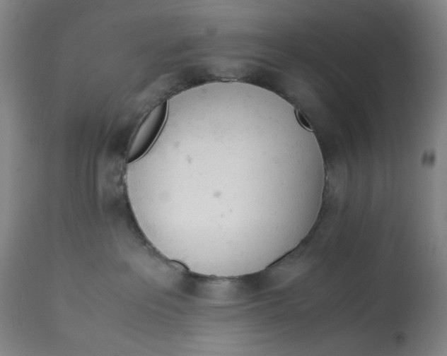 X0000113170237200909251425