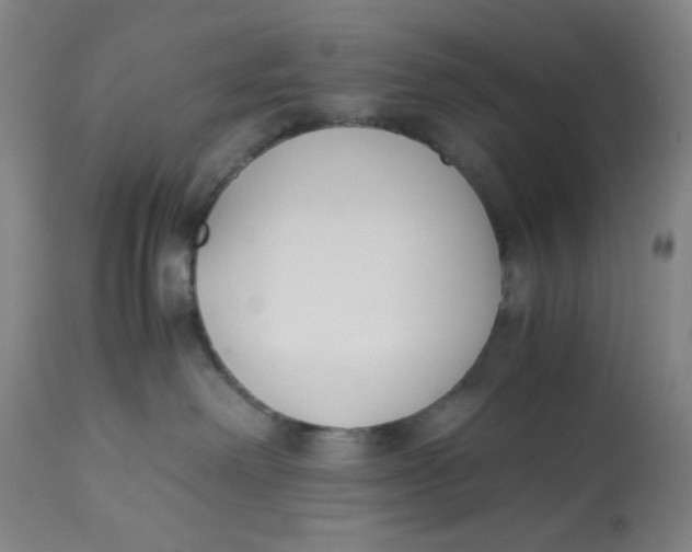 X0000113170238200909251425