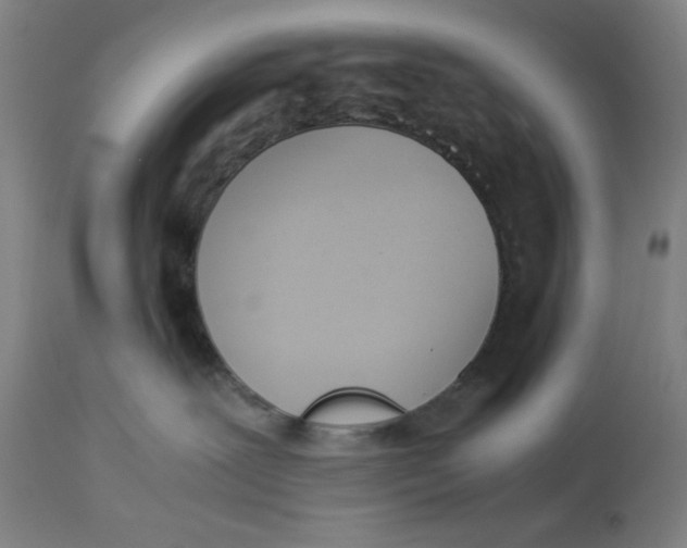 X0000113170239200909251425