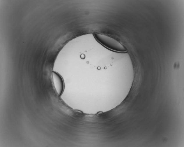 X0000113170240200909251425