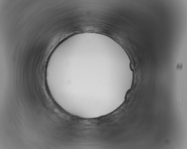 X0000113170241200909251424