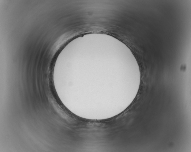 X0000113170242200909251424