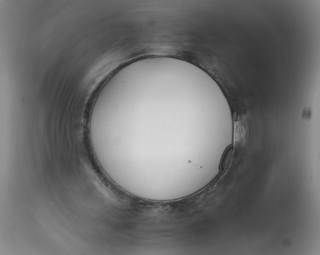 X0000113170243200909251424